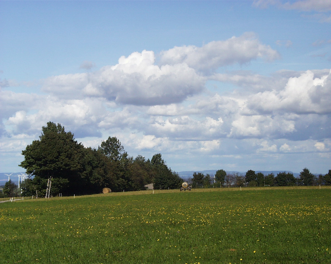 Ansicht10  Rebgeshain