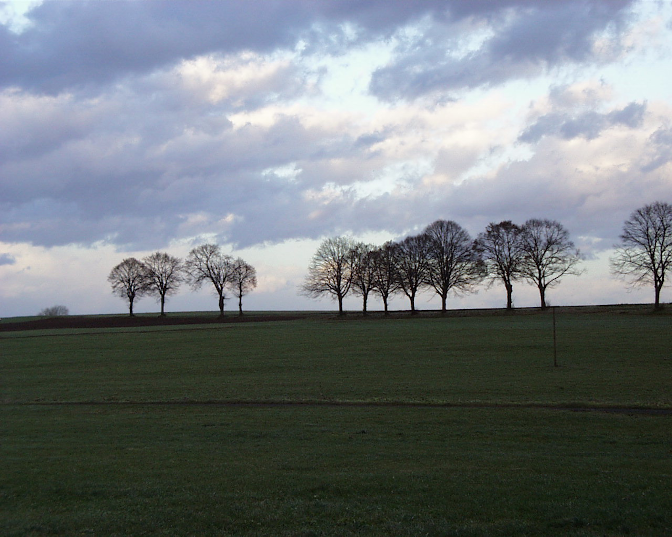 Ansicht8  Rebgeshain