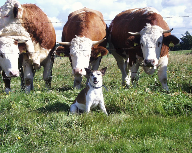 Ansicht9  Rebgeshain