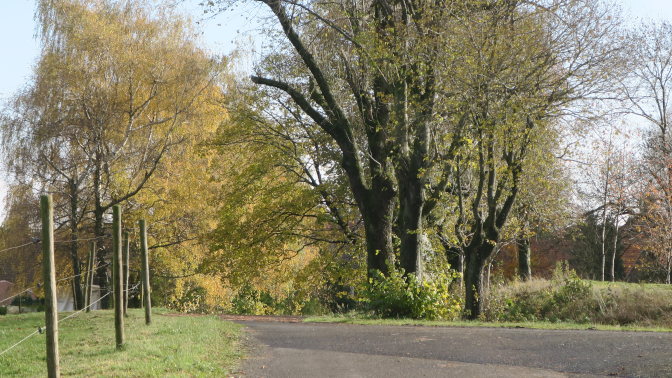 Ansicht12  Rebgeshain