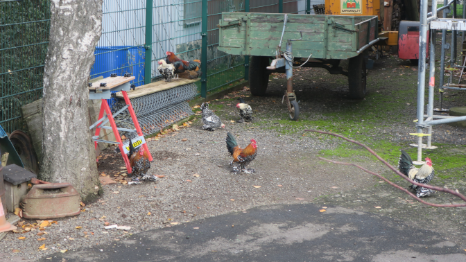 Ansicht14  Rebgeshain