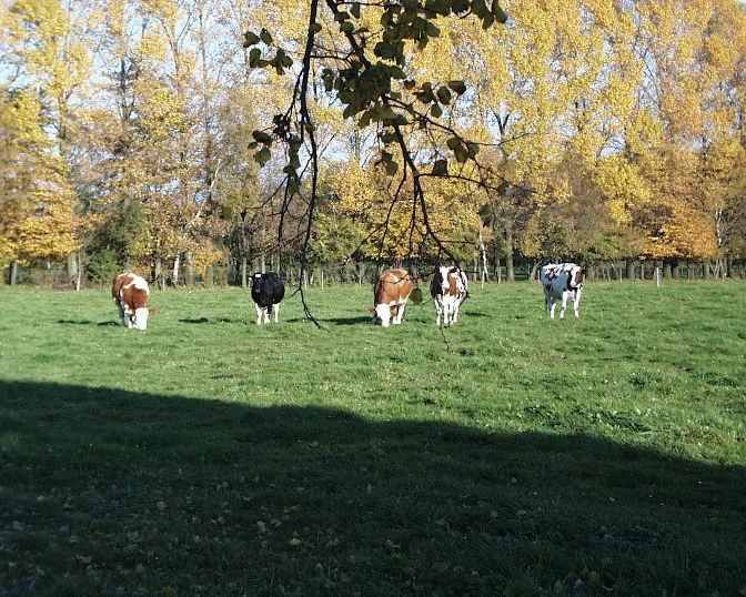 Ansicht18  Rebgeshain