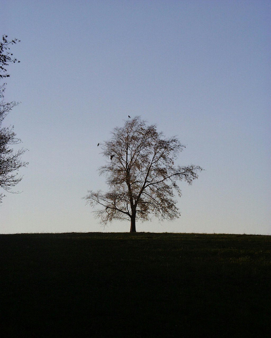 Ansicht19  Rebgeshain