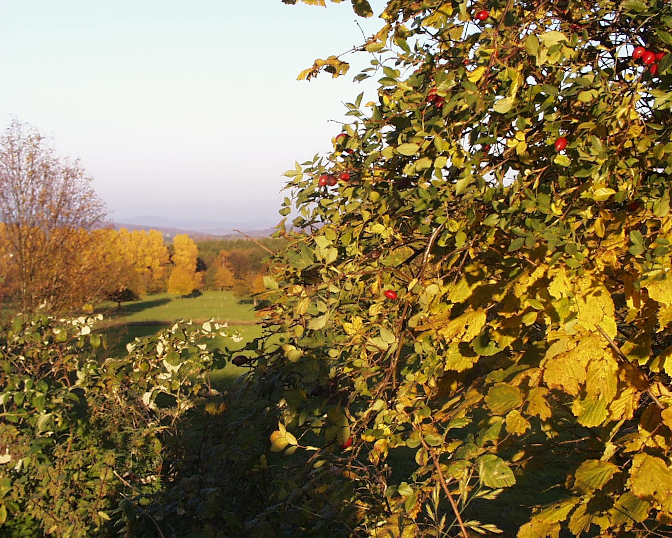 Ansicht20  Rebgeshain