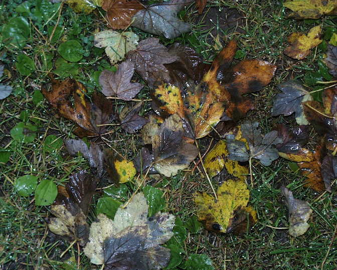 Ansicht22  Rebgeshain