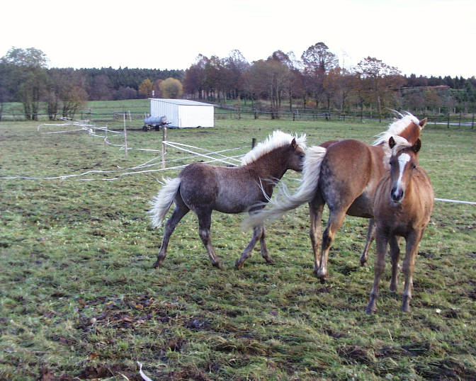 Ansicht25  Rebgeshain