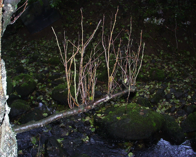 Ansicht26  Rebgeshain