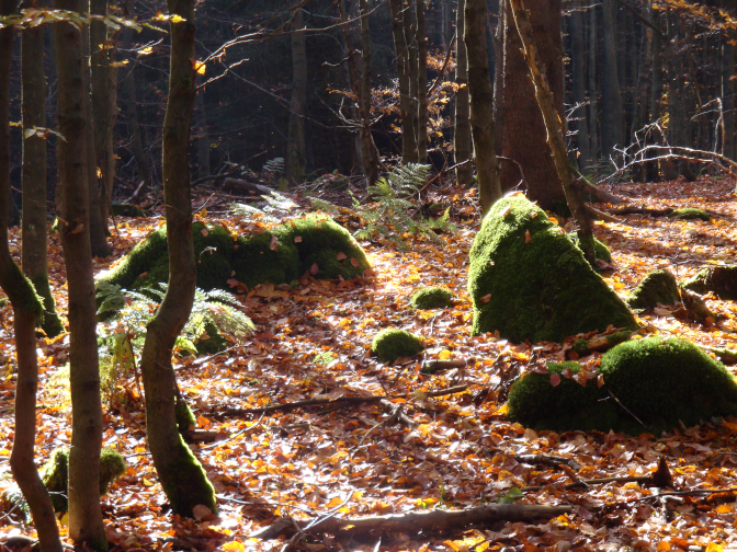 Ansicht27  Rebgeshain