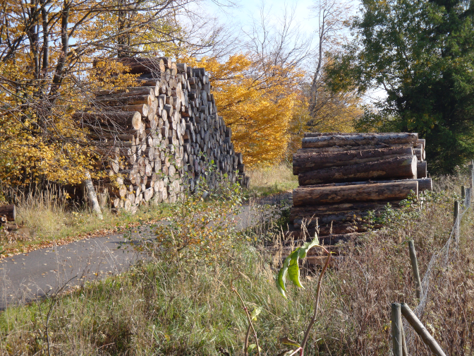 Ansicht28  Rebgeshain