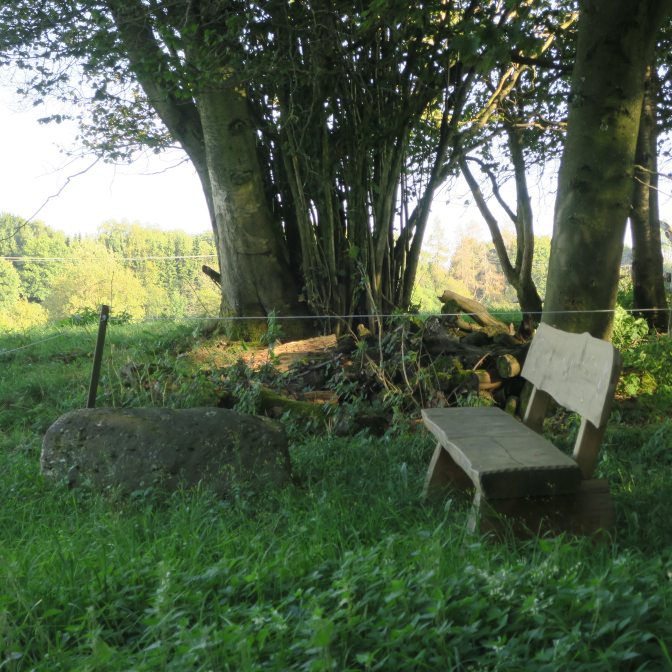 Ansicht15  Rebgeshain