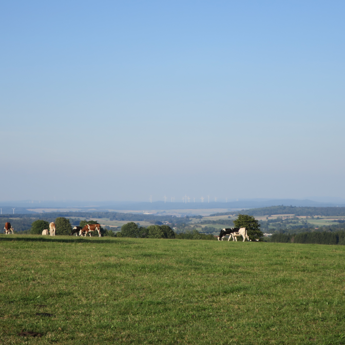 Ansicht17  Rebgeshain