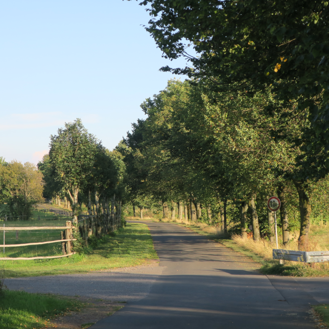 Ansicht22  Rebgeshain