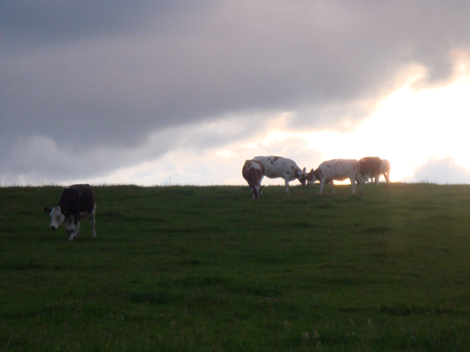 Ansicht4  Rebgeshain