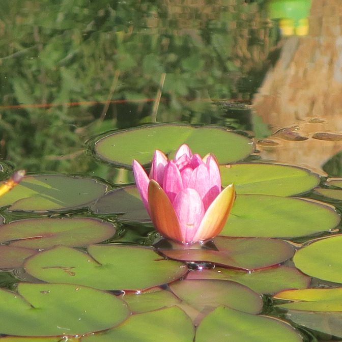 Ansicht8  Rebgeshain