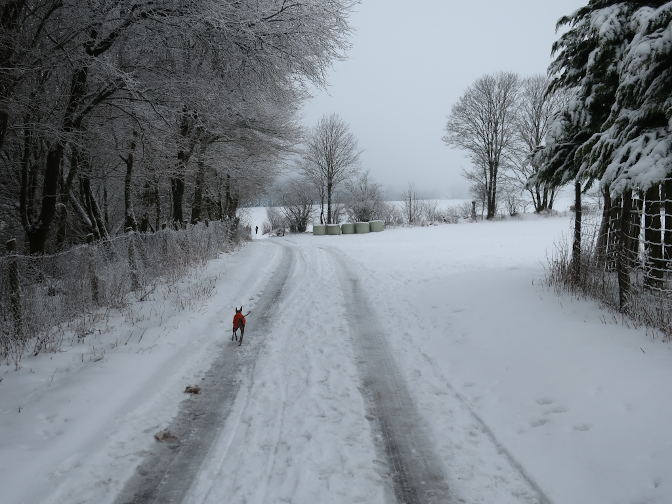 Ansicht13  Rebgeshain