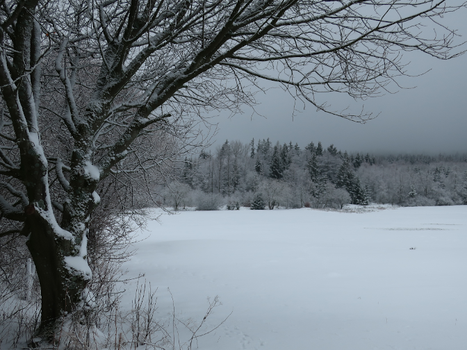 Ansicht14  Rebgeshain