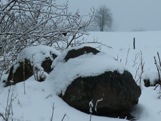 Ansicht15  Rebgeshain