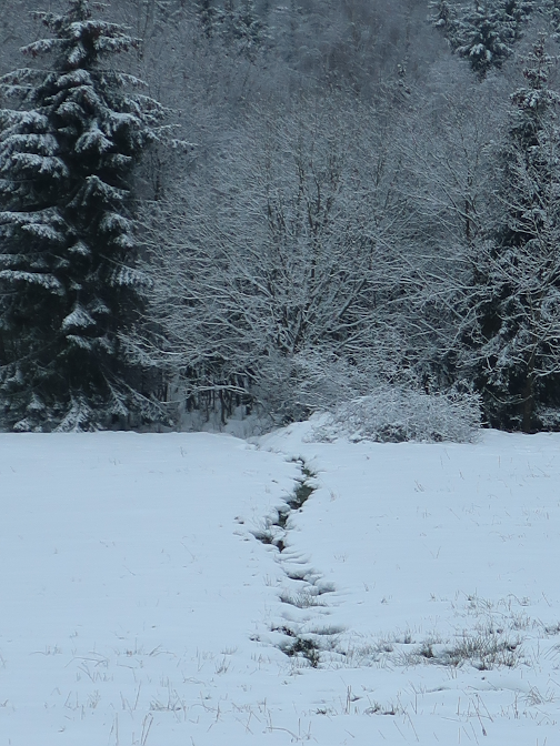 Ansicht17  Rebgeshain