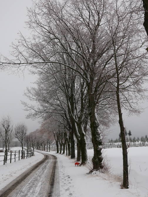 Ansicht18  Rebgeshain