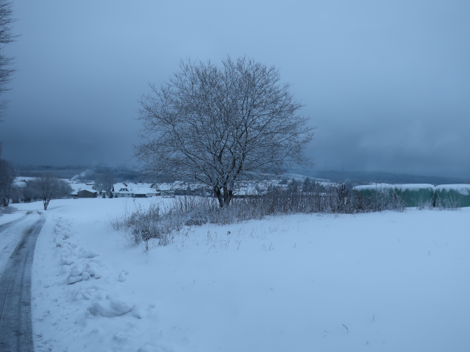 Ansicht23  Rebgeshain