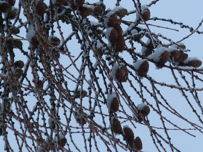 Ansicht24  Rebgeshain