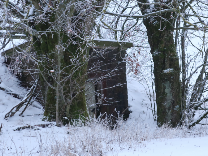 Ansicht27  Rebgeshain