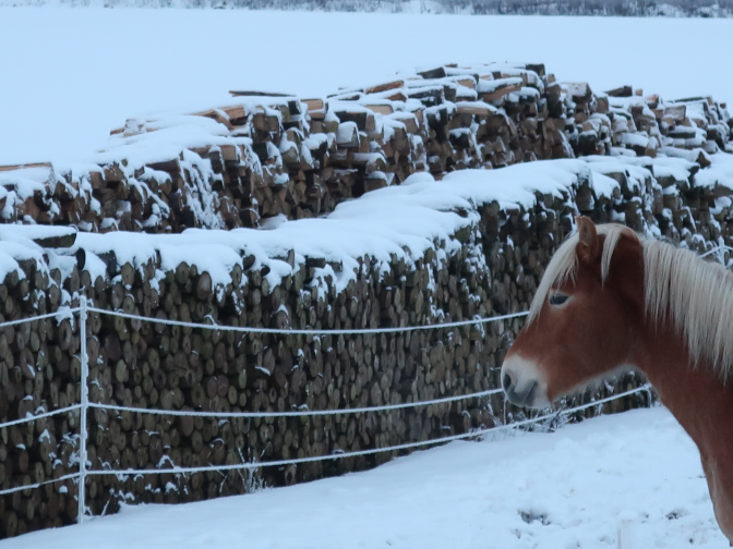 Ansicht33  Rebgeshain