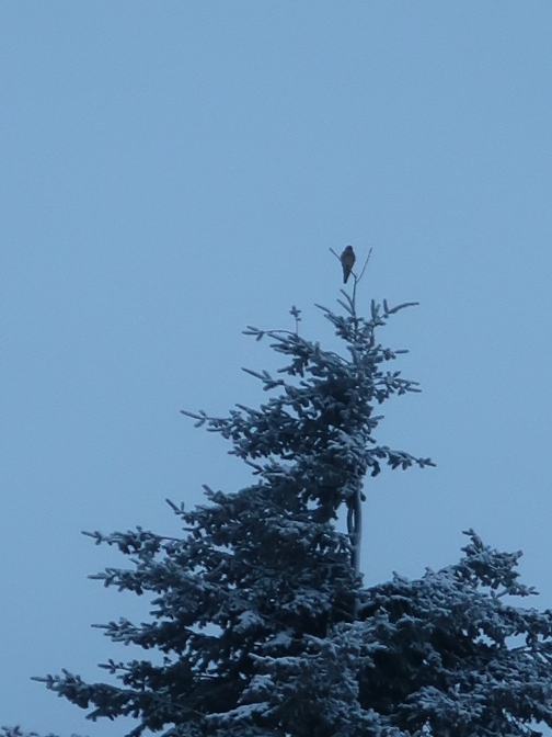 Ansicht40  Rebgeshain