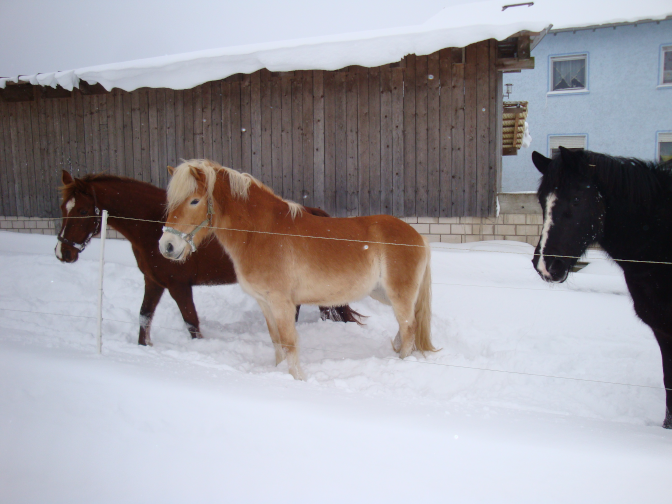 Ansicht42  Rebgeshain