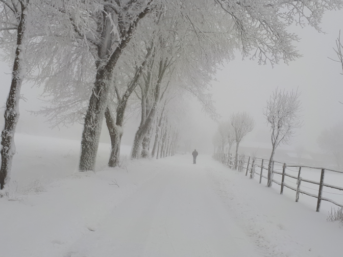 Ansicht47  Rebgeshain